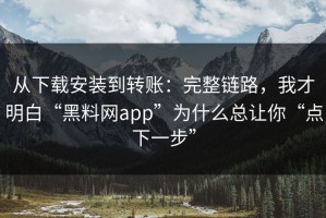 从下载安装到转账：完整链路，我才明白“黑料网app”为什么总让你“点下一步”