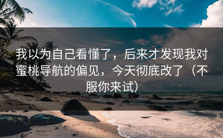 我以为自己看懂了，后来才发现我对蜜桃导航的偏见，今天彻底改了（不服你来试）